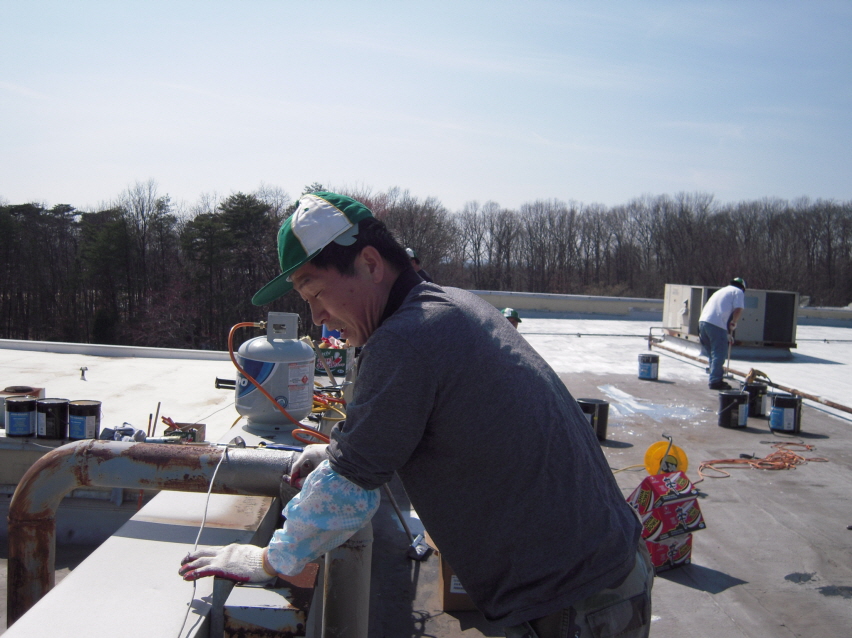 Resized_va roof 029.jpg